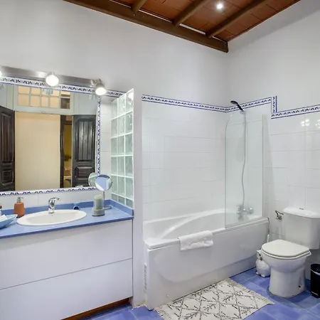 Suitme Teror