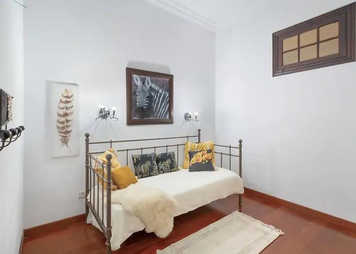 Suitme Teror